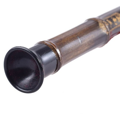 1Pc Chinese Ethnic Instrument Black Bamboo Bawu Pipe Flute Tune G Detachable - Foto 5 di 10