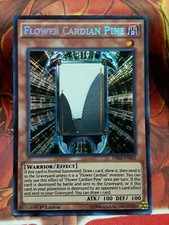 Yugioh Flower Cardian Pine Secret Rare DRL3-EN031 1st Edition Lightly Played