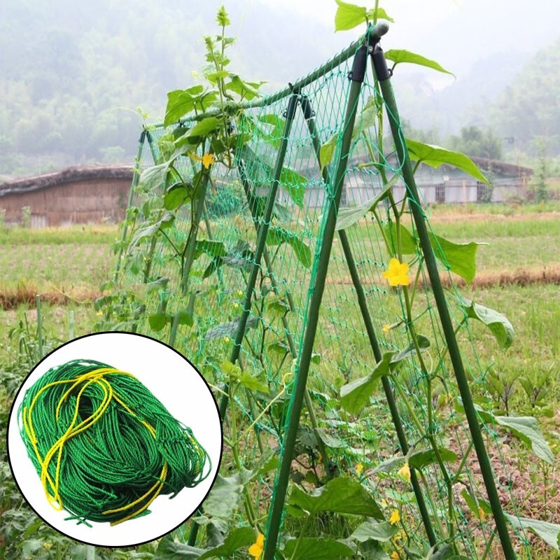 Practical Plant Support Net for Climbing Vines and Crops Green Garden