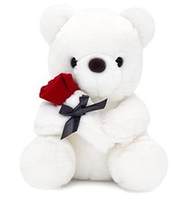 HWD 9.8'' Teddy Bear with Rose, Soft Plush Doll Stuffed Animals Toys, White