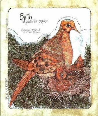 Birth: A Guide for Prayer (Take - Paperback, by Bergan Jacqueline - Very Good n