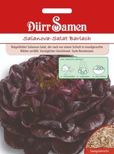 Salanova-Salat Barlach von Dürr Samen rotgefärbter Salanova-Salat ca 20 Korn