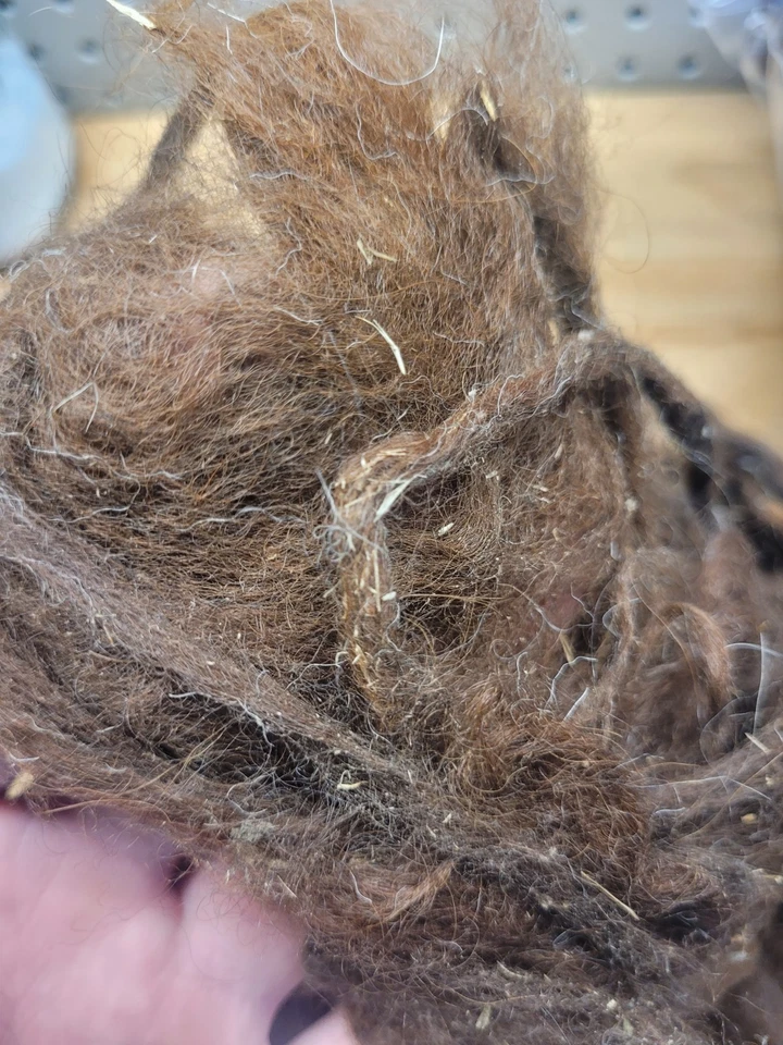 Alpaca Raw Fiber Brown/Red 1 Pound Unwashed (1st Cut) - Image 3 of 3