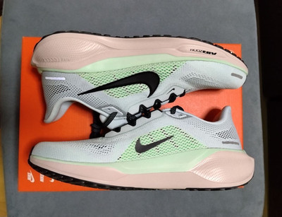 Nike Air Zoom Pegasus 41 Herren Laufschuhe Glacier Ice/Mint Foam EU 41 FD2722