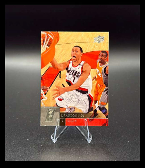 2009-10 Upper Deck - Brandon Roy #159