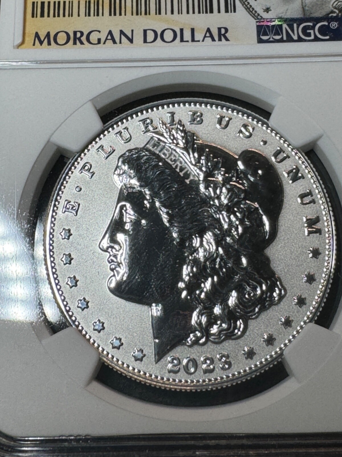 Picture 6 of 6