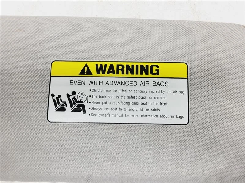 Parasol gris para pasajero derecho Hyundai Santa Fe 2013-2019 85220-B8600-OM Foto 3 de 4