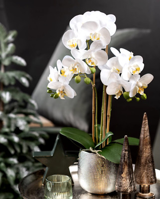 Artificial Flower White Phalaenopsis Orchid 24'' in Silver Ceramic Vase