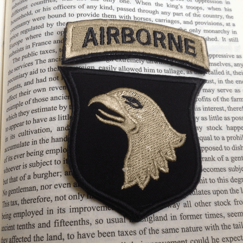 PARCHE DE LA FUERZA AÉREA GRITANDO ÁGUILAS GRITANDO EE. UU. 01a DIVISIÓN AEROTRANSPORTADA EE. UU. SSI EE. - Imagen 2 de 6