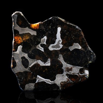 Authentic Brenham Pallasite Meteorite Slice - 24g Iron Nickel Matrix