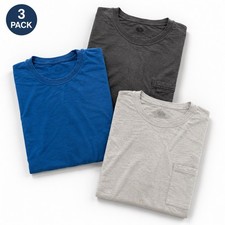 Fruit of the Loom Platinum Men s 3 Pack T-Shirts 2XL Crew Neck Pocket Cotton