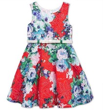 Sweet Heart Rose Little Girls' Floral Lace Dress  Multi  Size 4