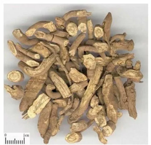 Qust al Bahri Root  Saussurea Lappa Pure Indian Organic Harb Sweet Costus