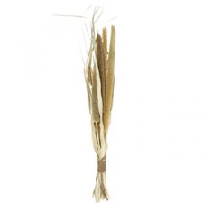 Trockenfloristik Getreide Hirsekolben Deko Naturell 45cm