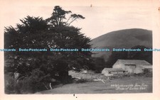 R250207 Pride of Lorton Vale Words worths Yew Tree Postcard