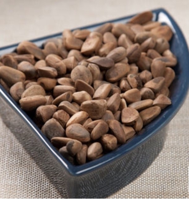 5LBS Pounds Drs.Foster & Smith Pine Nuts Bird Pet Food Treat Parrot