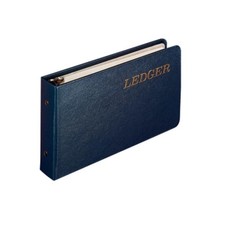 Wilson Jones Ring Ledger Outfit, Bookkeeping System with 1.5", Blue 