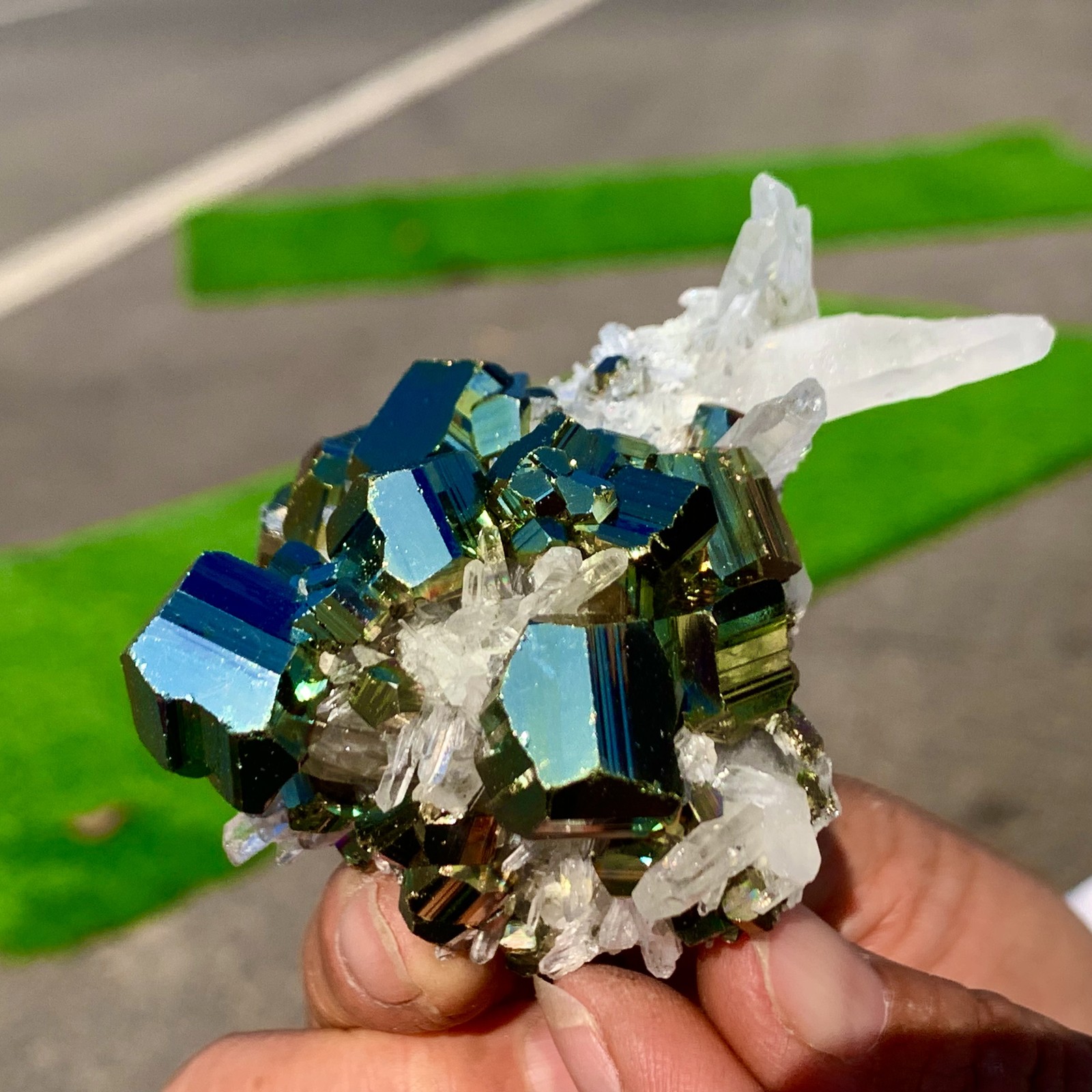 133G Natural colorful chalcopyrite clear Cluster coexisting crystal mineral