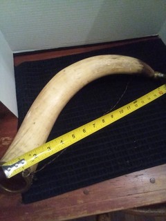 large antique gun powder horn