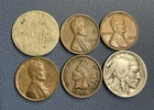 U.S Coin Collection - Indian Cent + Wheat Cents, Shield + Buffalo Nickel