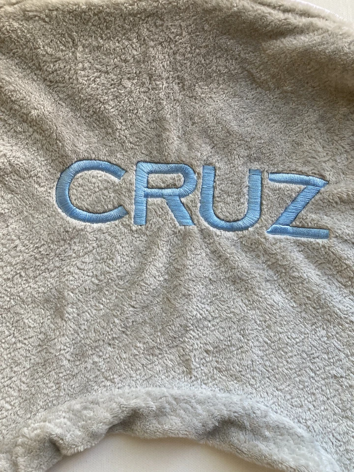 Pottery Barn Kids CRUZ mono Solid Gray Boppy Bare Naked Nursing Pillow Cover BB — 第 2/4 张图片