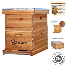 Durable 10-Frame Beehive Starter Kit with Fully Beeswaxed Frames and Foundation