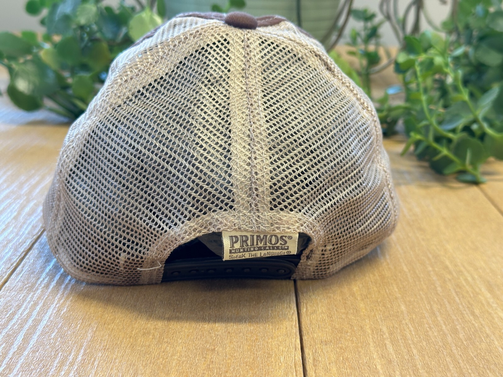 Picture 3 of 11