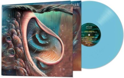 Various Artists - Meddle Reimagined - A Tribute To Pink Floyd (Various Artists)