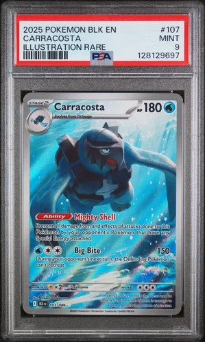 Carracosta Illustration Rare Pokemon Blk En-Black Bolt 107 NM PSA 9