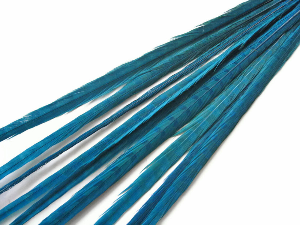 【セール】  Blue Pheasant 10枚 10 Pcs 18-22