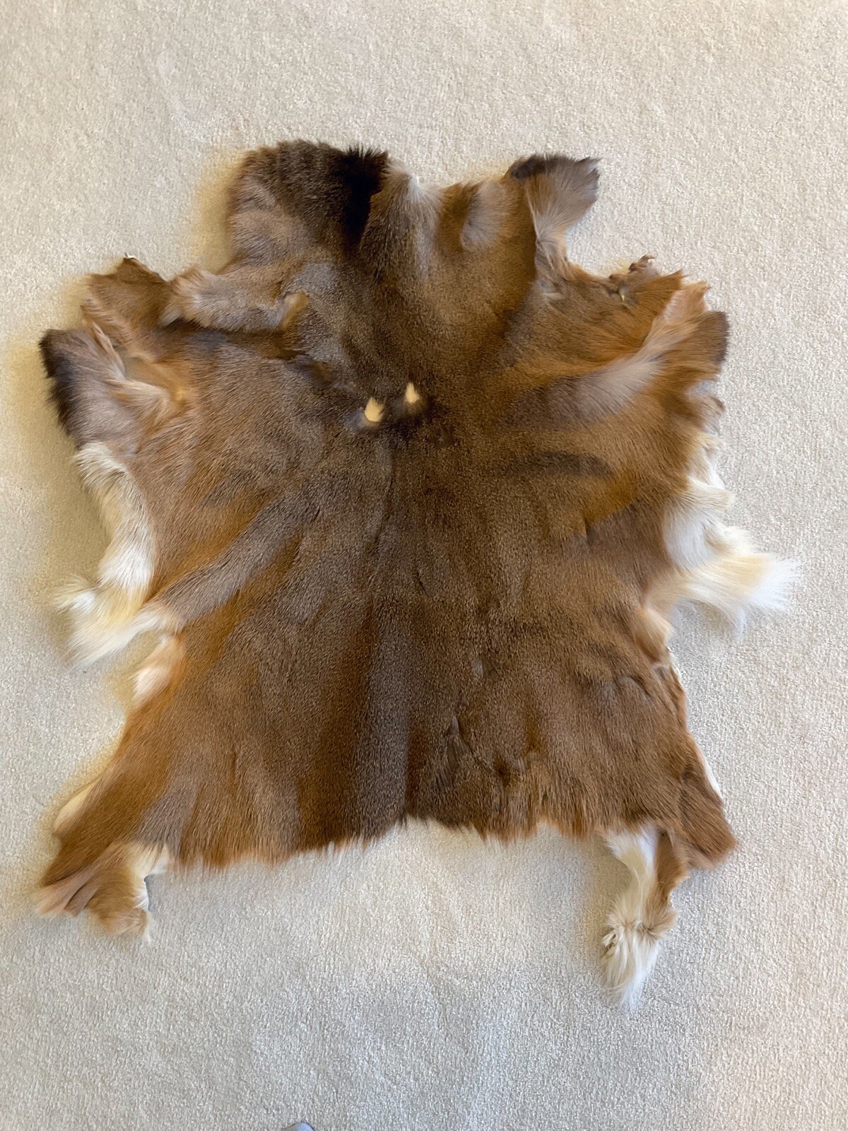 Tanned Whitetail Deer Pelt Fur Hide Skin eBay