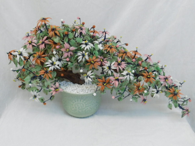 asparagus fern bonsai Asparagus Fern Table Forest style – Sumool main image 0
