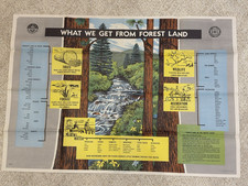 Vintage 1958 - What We Get From the Forest Poster - US Forest Service