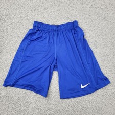 Nike Dri-Fit Shorts Mens Large Blue Performance Logo Graphic
