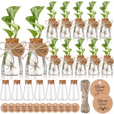 24 Pack 3.35'' Plastic Plant Propagation Stations with Hole Lid Planter Vase ...