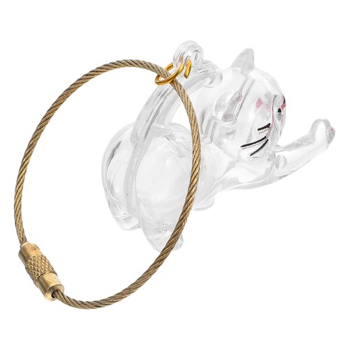 Llavero conmemorativo de mascotas: Llavero transparente de pelo de gato - Bolso colgante para gato - Imagen 9 de 12