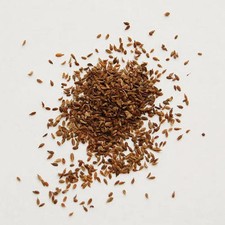 Edible Carrot Seeds (Gajar K Beej) Fresh Ground Indian herbs
