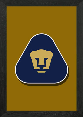 Pumas gerahmtes Wandbild Poster Leinwanddruck Bild
