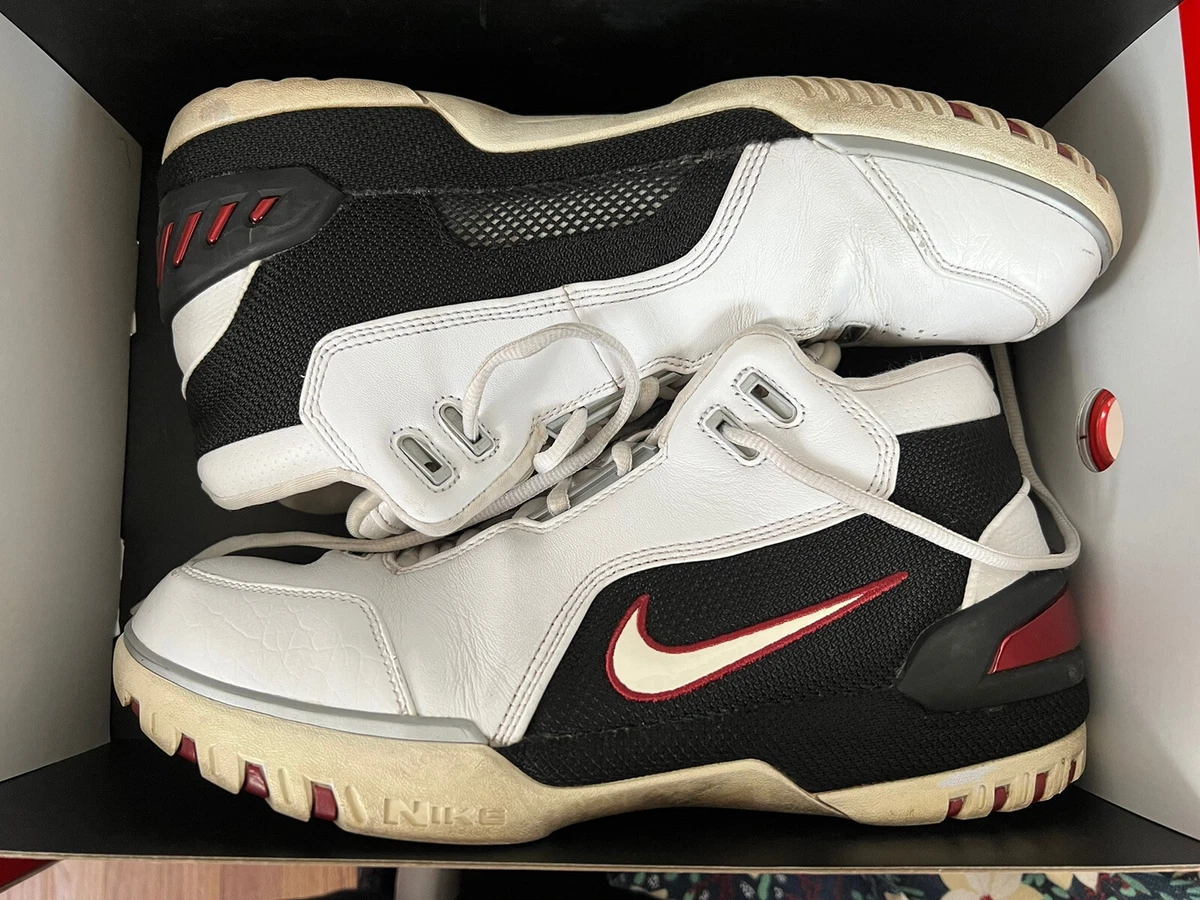 lebron zoom generation