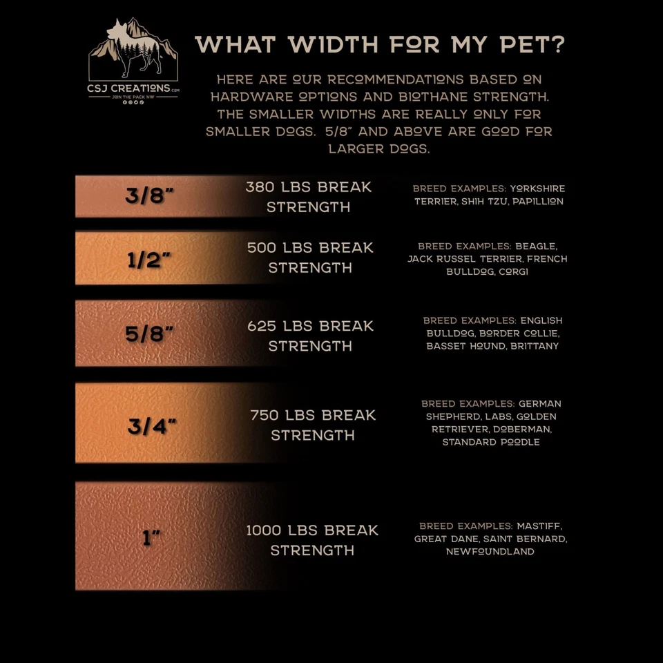 Biothane Hands Free Leash w/Flat Traffic Handle 5/8" width 5.5' length - Image 3 of 4