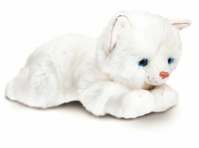 kitten cuddly toy