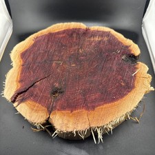 X LG Red Cedar Wood Turning Blank Cookie Live Edge Base 11  X 12  X 2   2B   