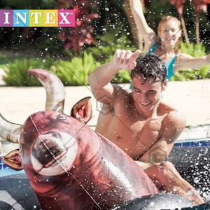 blow up bull for pool