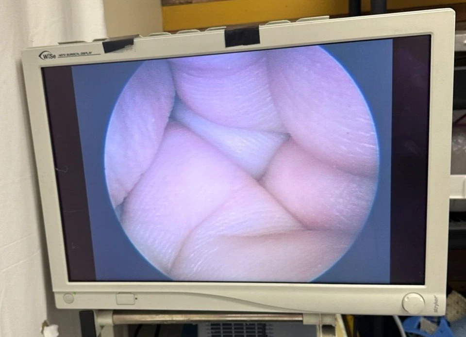 Laparoscópio operacional R. Wolf Lumina 4939.31 10mm X 170° com adaptador de instrumento - Imagem 2 de 4