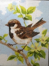"Sparrow" Printed Needlepoint Tapestry  Kit  3315K
