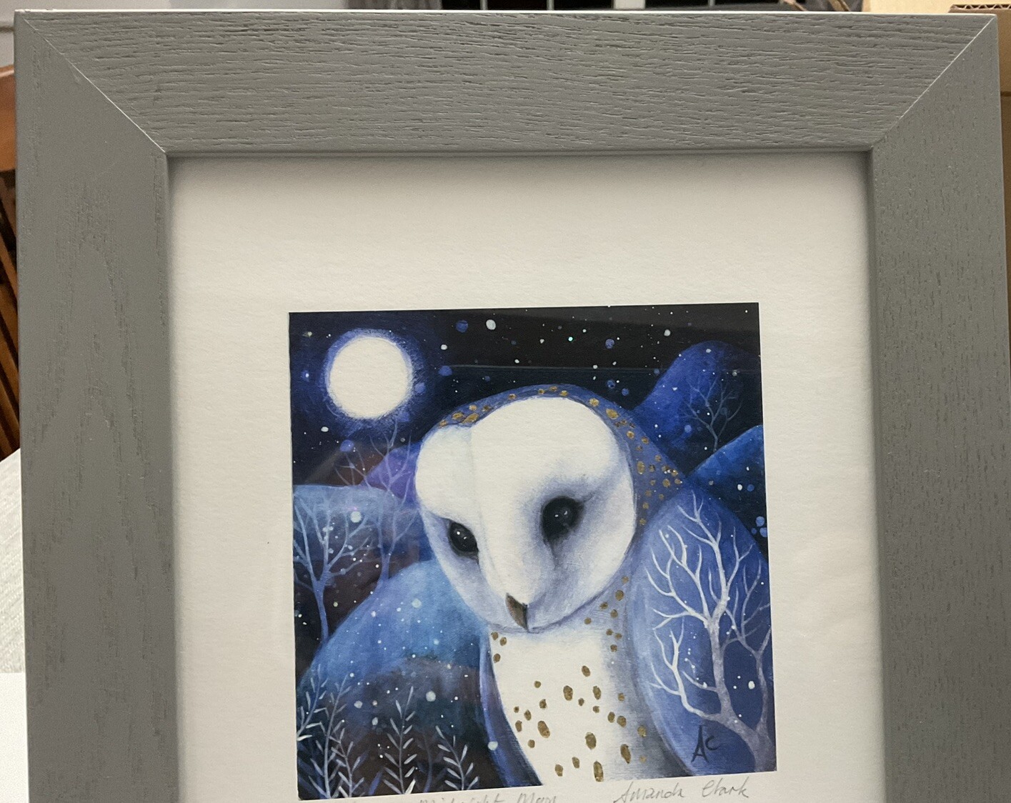 Picture 6 of 16