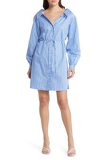 & Other Stories Stripe Long Sleeve Organic Cotton Shirtdress Size 6