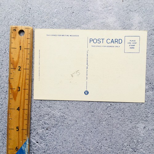 Postal de lino vintage del oso Kodiak más grande jamás capturado de Alaska sin usar - Imagen 5 de 6