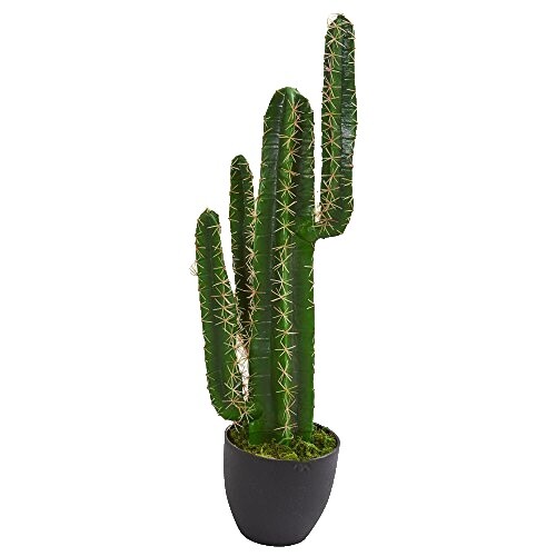CACTUS 4 Stacking Glasses CUPS Green Unique Drinking Nesting | eBay