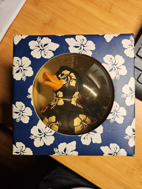 New Vintage NYC 2002 Design Room Aloha Rubber Duck Blue/White Hibiscus Flower